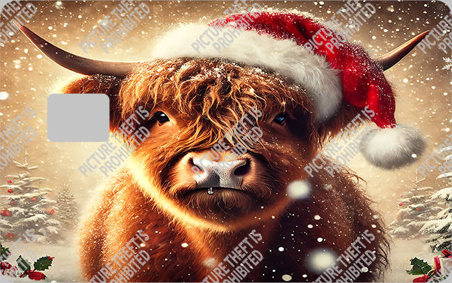 Bank  Card Sticker-BC-2578